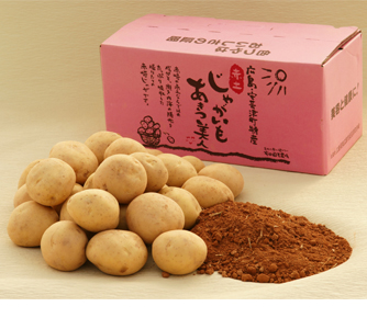 有田園芸農場