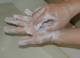 指先やつめの間を洗う