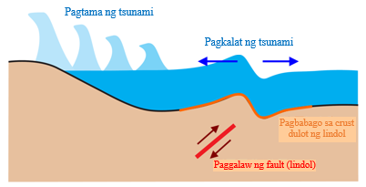 The pictuer of ano ang tsunami