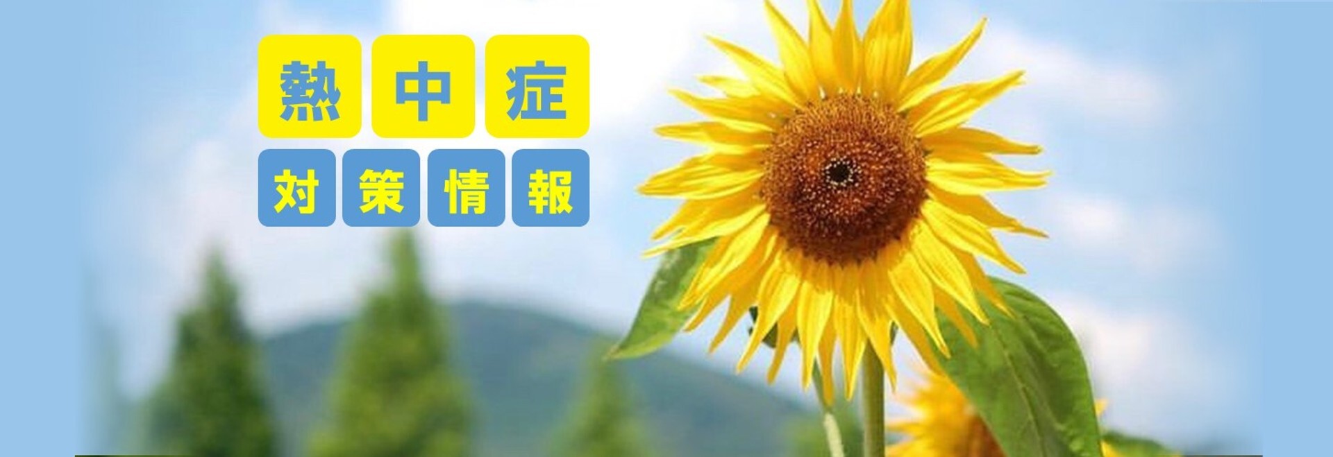 熱中症対策情報