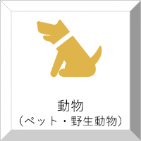 動物（ペット・野生動物）