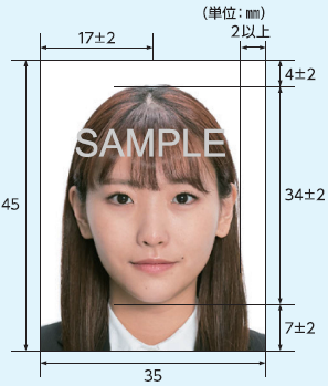 写真：適当な写真例