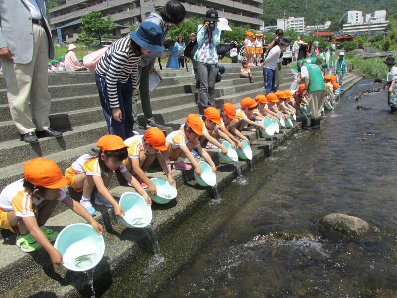 写真：ふれあい放流の様子2