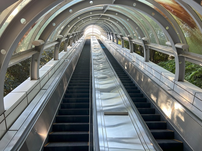 写真：エスカレーター内