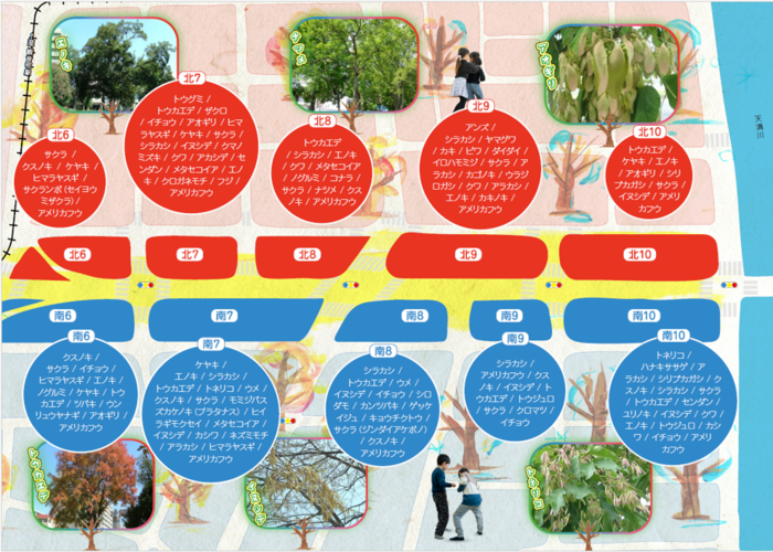 写真：　エリアごとの植生（南北6～10）