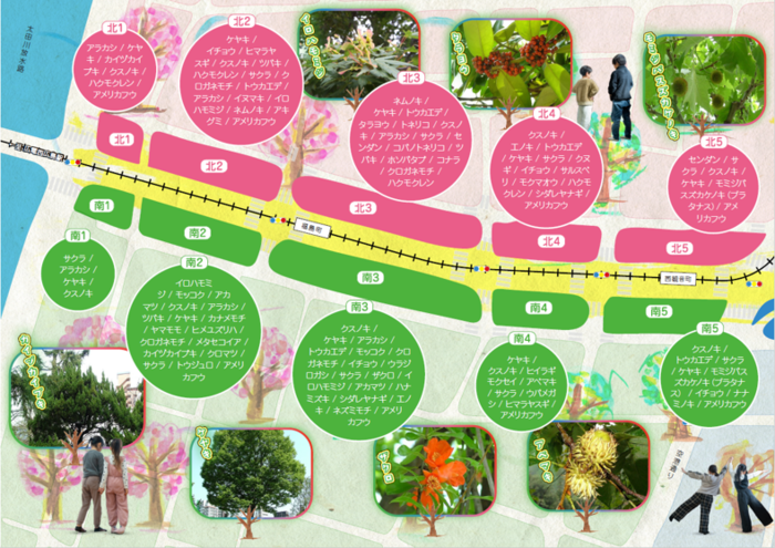 写真：　エリアごとの植生（南北1～5）