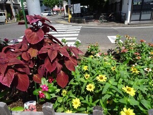 安佐南区役所の花壇の写真1