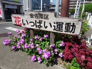 安佐南区役所の花壇の写真1