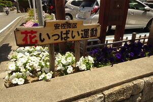 安佐南区役所の花壇の写真1