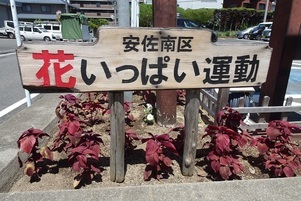 安佐南区役所の花壇の写真1