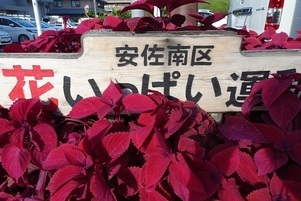 安佐南区役所の花壇の写真1