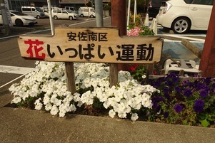 安佐南区役所の花壇の写真1