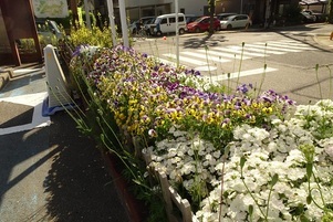 安佐南区役所の花壇の写真3