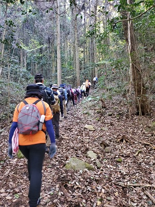 写真：登山中の様子2