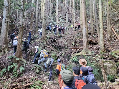 写真：登山中の様子3
