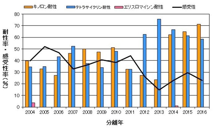 グラフ：広島市内散発下痢症患者由来C.jejuniの薬剤耐性状況