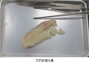 写真：フグ切り身