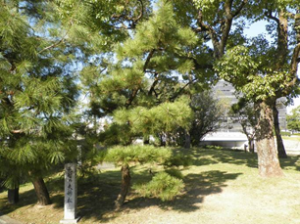 Photograph3