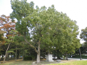 Photograph2