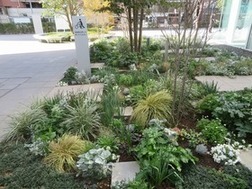 花壇の整備イメージ