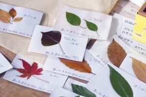 写真：パークセッション2