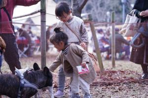 写真：いぬともば2