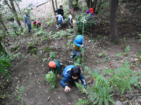 試行実施の様子