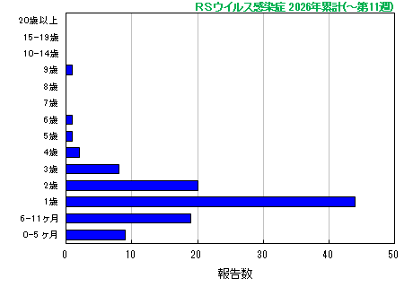 グラフ：RSウイルス　今年の累計