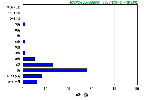 グラフ：RSウイルス　今年の累計