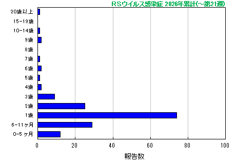 グラフ：RSウイルス　今年の累計