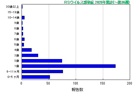 グラフ：RSウイルス　今年の累計