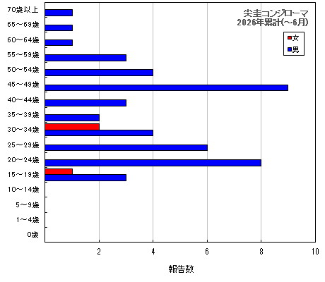グラフ：尖圭コンジローマ　今年の累計