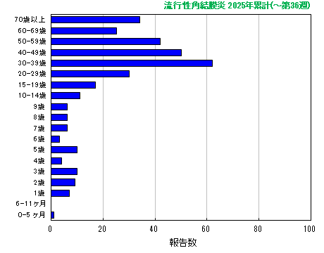 グラフ：流行性角結膜炎　今年の累計