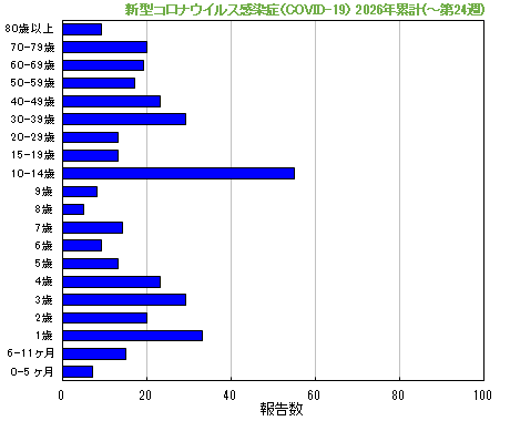 グラフ：新型コロナウイルス感染症（COVID-19）今年の累計