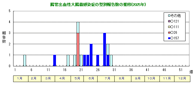 グラフ：腸管出血性大腸菌感染症の型別報告数の推移