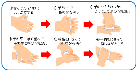 イラスト：手洗いの手順