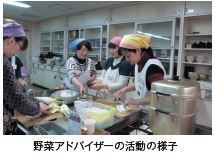 写真：野菜アドバイザーの活動の様子