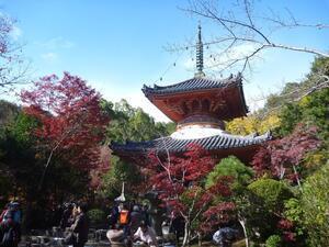写真:歴史散策会(三瀧寺 多宝塔)