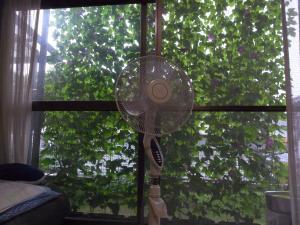写真：優良賞作品2