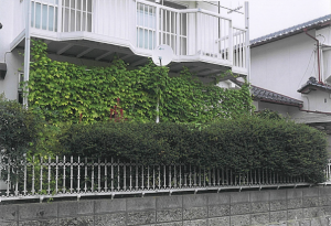 写真：最優秀賞作品2