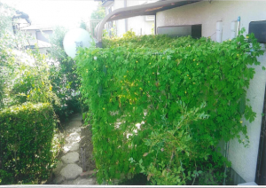 写真：優秀賞作品2