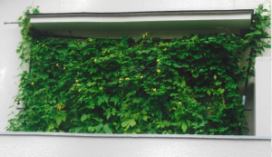 写真：奨励賞作品5