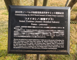 说明板