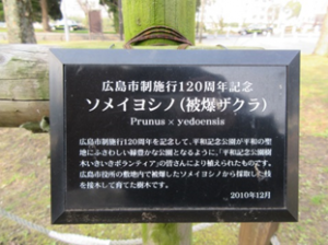 解說板