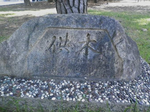 供木