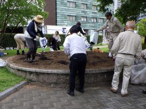 写真：前田建設工業株式会社　花の植替え作業の様子1
