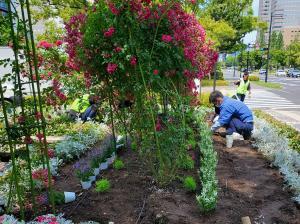 写真：株式会社広島企業　花の植替え作業の様子1