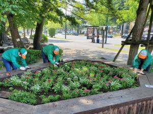 写真：有限会社HANABUSA　花の植替え作業の様子1