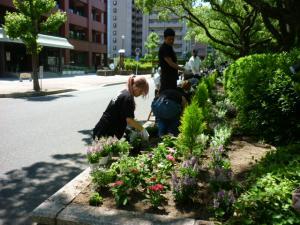 写真：広島工業大学専門学校　花の植替え作業の様子1