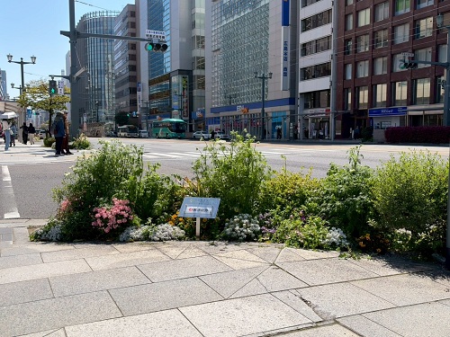 東洋証券株式会社の花壇